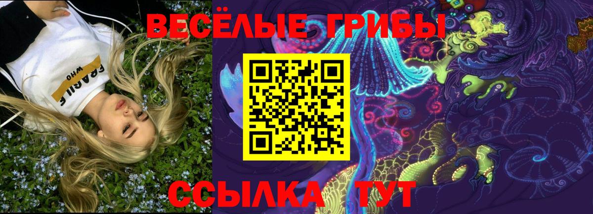 Галлюциногенные грибы GOLDEN TEACHER Сорочинск